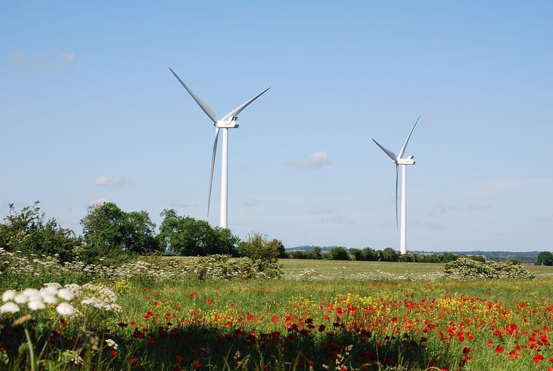 Environmentally-Friendly Practices